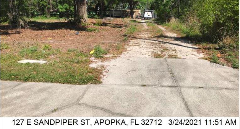 A paved driveway leads to a vacant, tree-covered lot with a white van in the distance — 127 E SANDPIPER STREET, APOPKA, FL