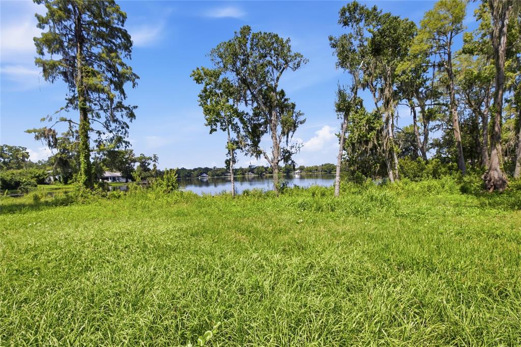 13414 & 13416 N LINCOLN AVENUE, TAMPA, FL — photo 5 of 8