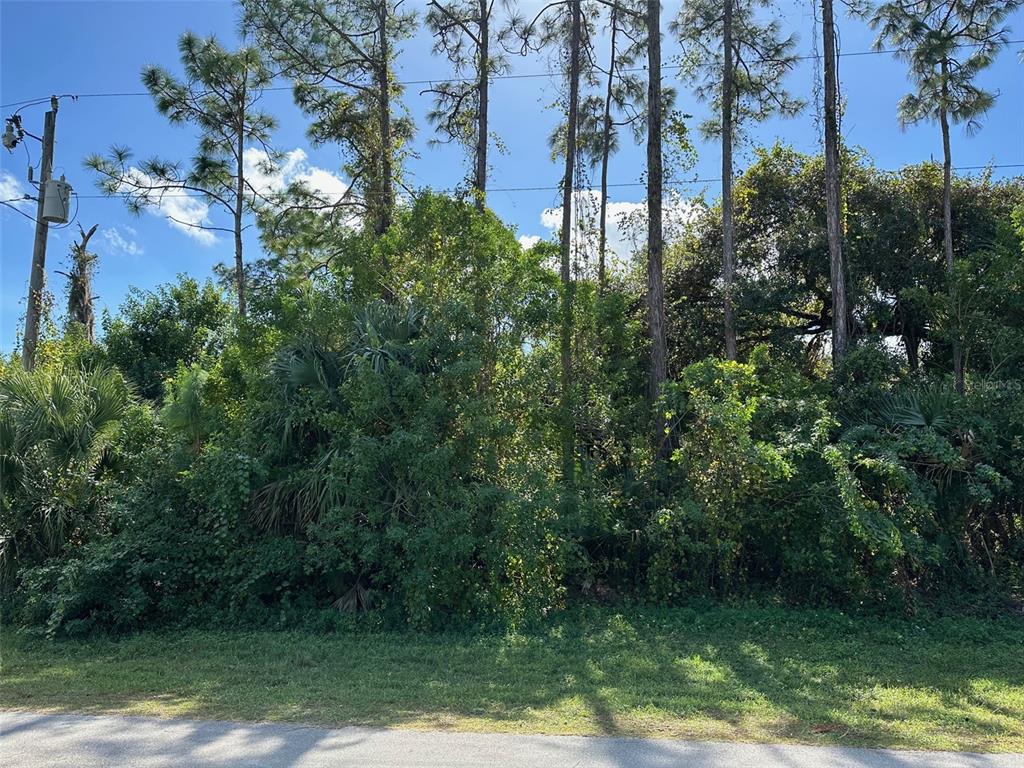 A dense, wooded vacant lot with tall pine trees and thick undergrowth along a road — 8042 WINDSWEPT CIRCLE, LABELLE, FL