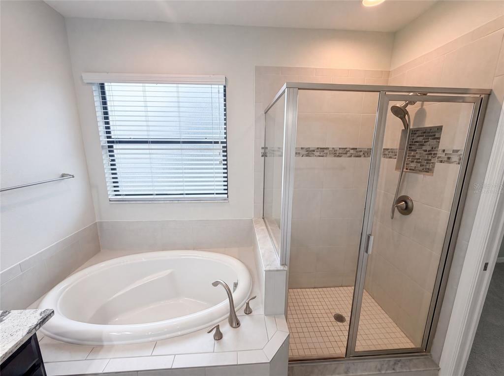 A bathroom features a white soaking tub next to a glass-enclosed walk-in shower — 4848 WANDERING WAY, WESLEY CHAPEL, FL