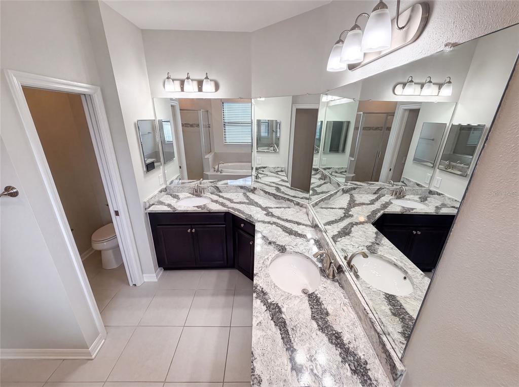 A bathroom features a dual-sink vanity with dark cabinets, granite countertops, and large wall mirrors — 4848 WANDERING WAY, WESLEY CHAPEL, FL