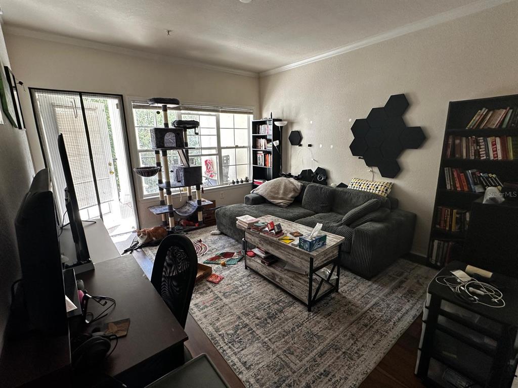 A living room features a grey sectional sofa, a coffee table, bookshelves, and a cat tree — 3605 CONROY ROAD UNIT 524, ORLANDO, FL