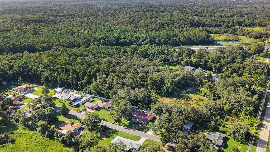 An aerial view shows a residential neighborhood bordered by a dense forest and a highway — LIVINGSTON AVE, LUTZ, FL