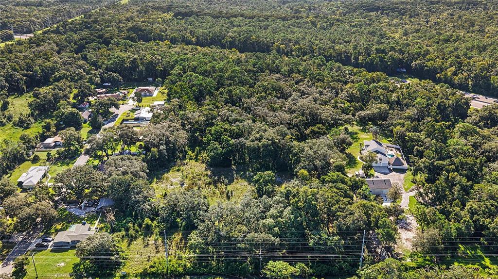An aerial view shows a wooded residential area with several houses and power lines — LIVINGSTON AVE, LUTZ, FL