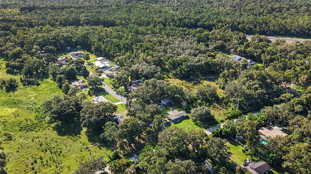 An aerial view shows several houses nestled among dense trees and open grassy fields — LIVINGSTON AVE, LUTZ, FL