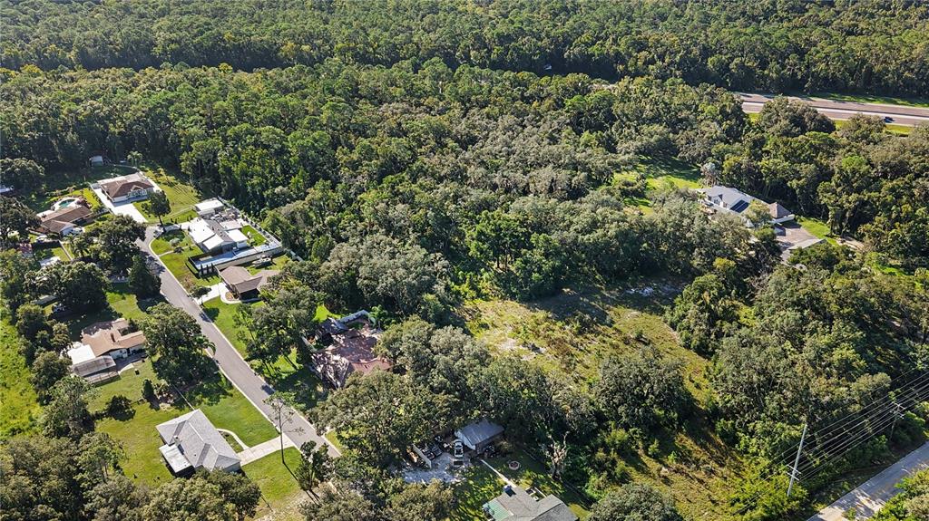 An aerial view shows several houses nestled among dense trees near a highway — LIVINGSTON AVE, LUTZ, FL