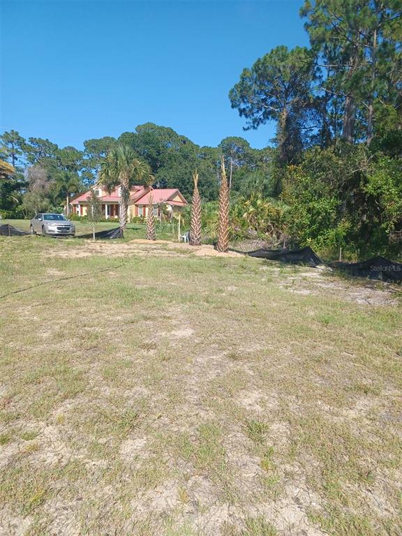 A grassy, undeveloped lot features three small palm trees and a house in the background — LIN GINA TERRACE, EDGEWATER, FL
