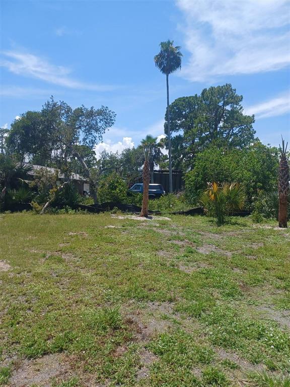 A grassy lot features several palm trees, dense foliage, and a dark vehicle in the background — LIN GINA TERRACE, EDGEWATER, FL