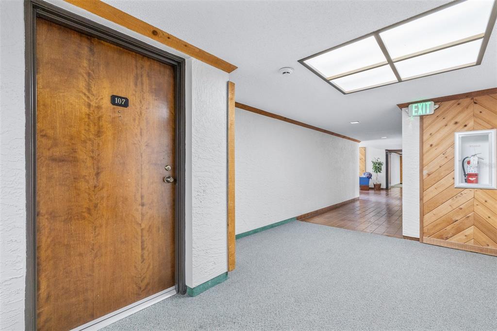 A hallway with a wooden door labeled 107, gray carpeting, and a fire extinguisher cabinet — 13602 S VILLAGE DRIVE UNIT 1107, TAMPA, FL