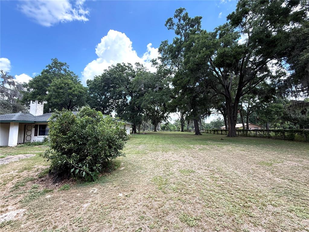 A grassy backyard features a large bush, mature trees, and a portion of a house — 7119 SW 80TH AVENUE, OCALA, FL