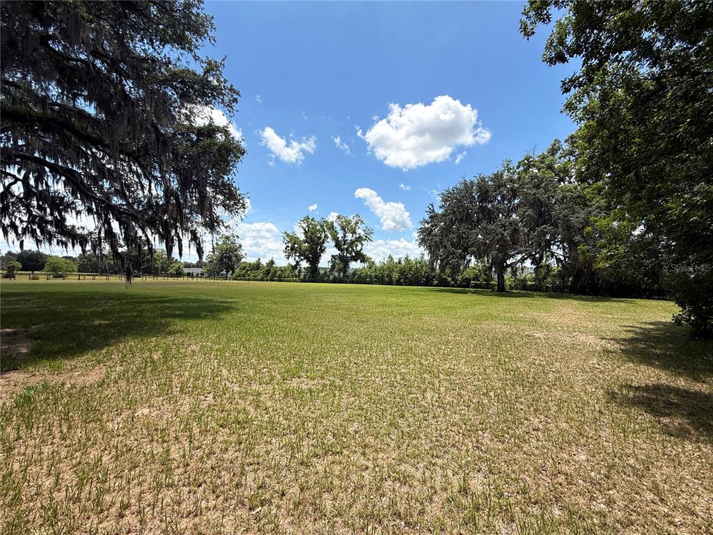A large, grassy lot features mature trees with Spanish moss under a bright blue sky — 7119 SW 80TH AVENUE, OCALA, FL