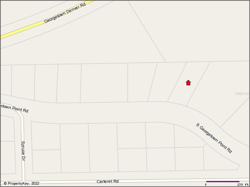 This is a map showing a property lot highlighted with a red house icon — S GEORGETOWN POINT ROAD, GEORGETOWN, FL