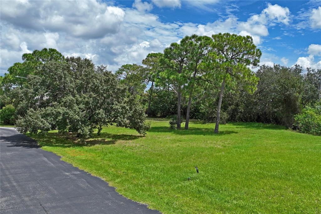 An aerial view shows a vacant lot with a red location pin near a road — 3034 SHEPPARDS CROOK, HOLIDAY, FL