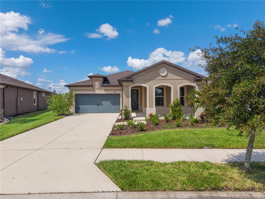 8190 OLIVE BROOK DRIVE, WESLEY CHAPEL, FL — photo 5 of 30