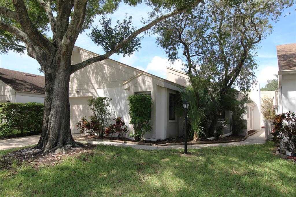 390 S WOODLANDS DRIVE, OLDSMAR, FL — photo 2 of 30