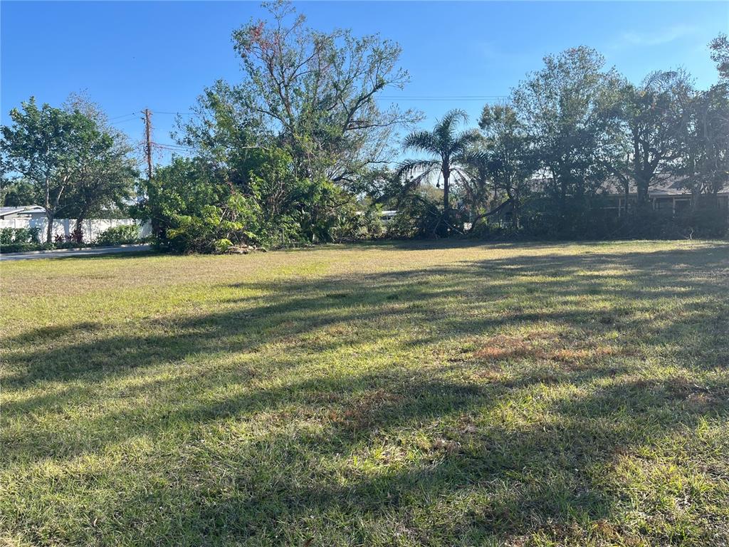 A grassy, vacant lot features scattered trees and a palm tree under a clear sky — 2484 RINGLING BOULEVARD, SARASOTA, FL