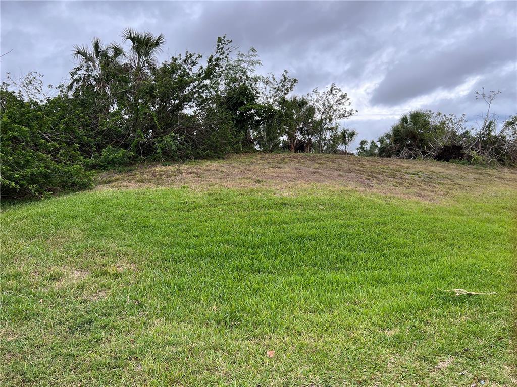 A grassy, sloped lot features a patch of dry vegetation and dense trees in the background — WOODBRIDGE DRIVE, VENICE, FL