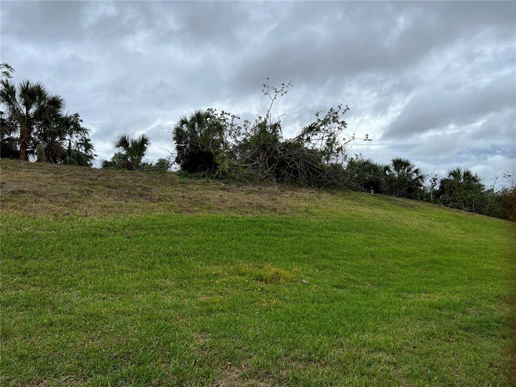 A grassy, sloped lot features scattered trees and shrubs under a cloudy sky — WOODBRIDGE DRIVE, VENICE, FL