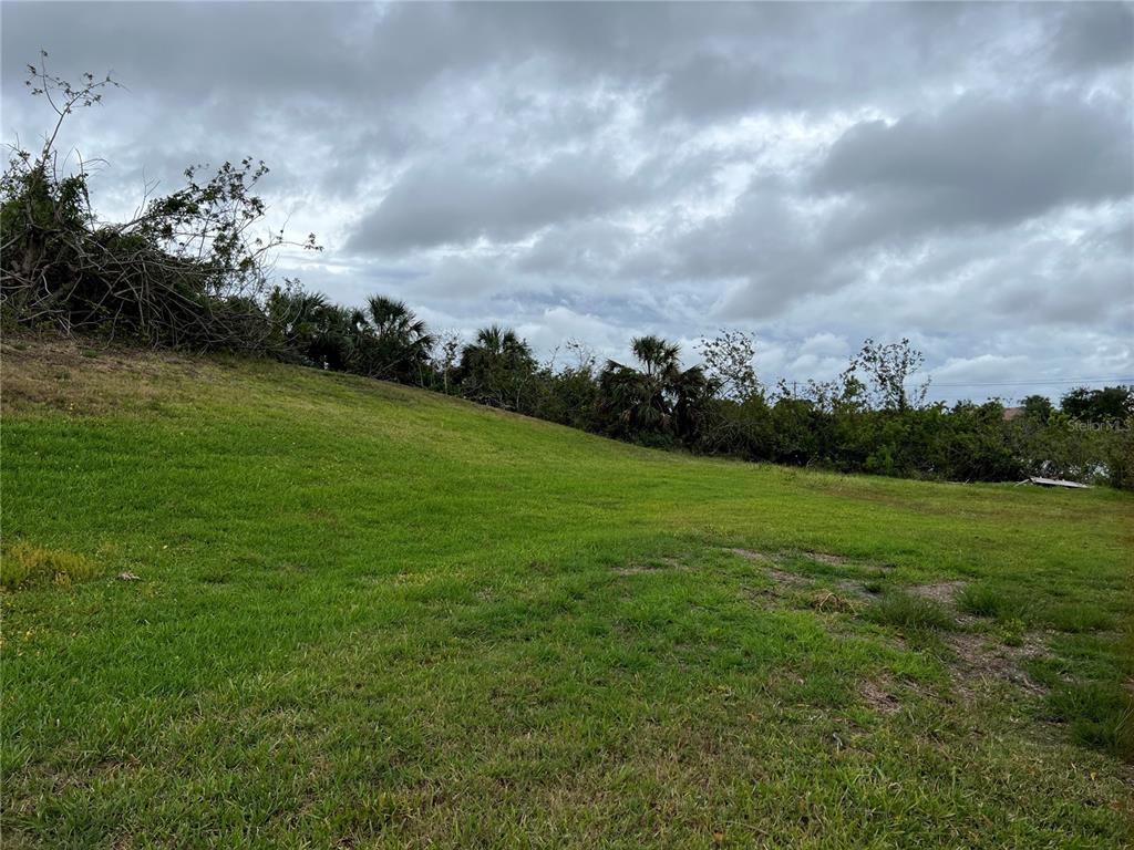 A grassy, sloped vacant lot features scattered trees and shrubs under a cloudy sky — WOODBRIDGE DRIVE, VENICE, FL