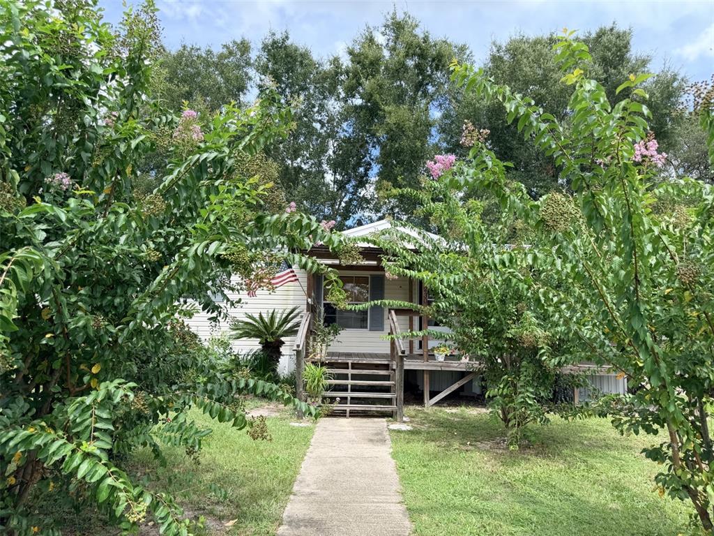 A single-story house with a front porch and stairs is framed by flowering crepe myrtle trees — 230 E RODGERS BOULEVARD, CHIEFLAND, FL