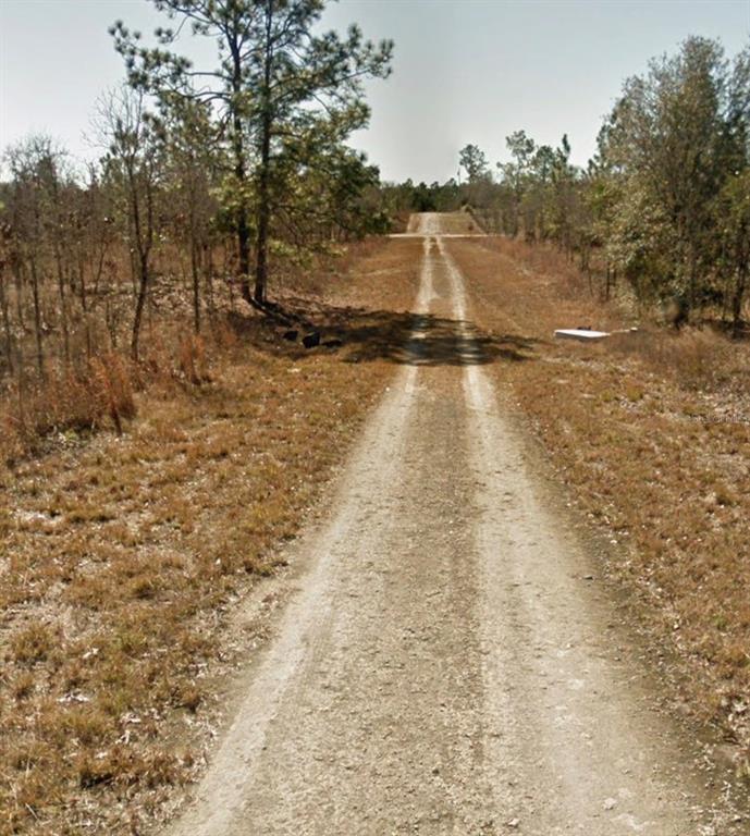SE 23RD PLACE, MORRISTON, FL — photo 3 of 7