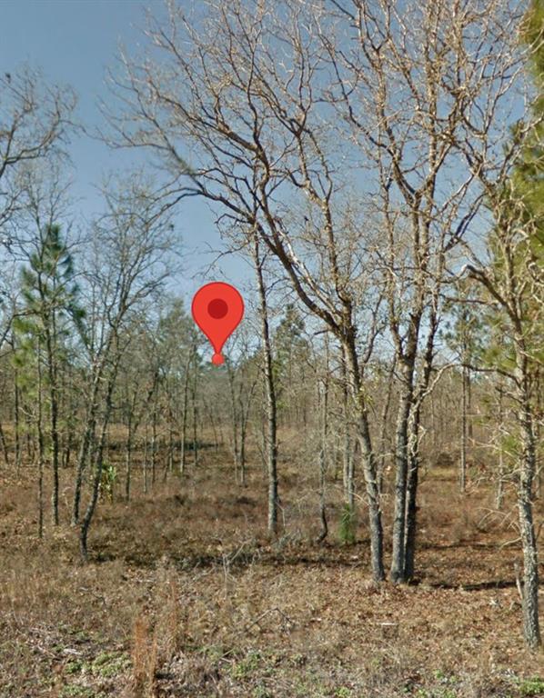 SE 23RD PLACE, MORRISTON, FL — photo 4 of 7