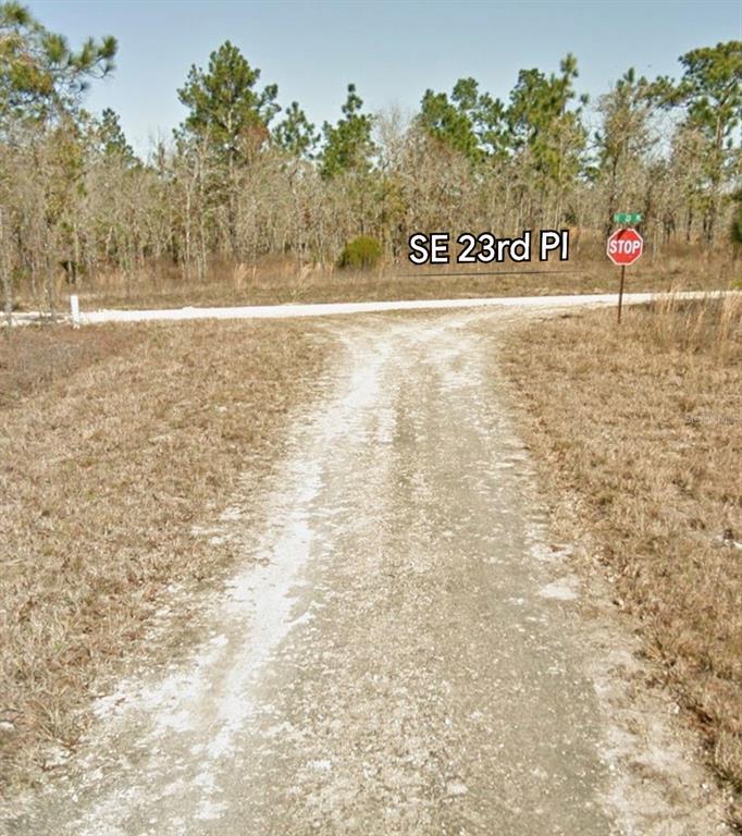 SE 23RD PLACE, MORRISTON, FL — photo 5 of 7