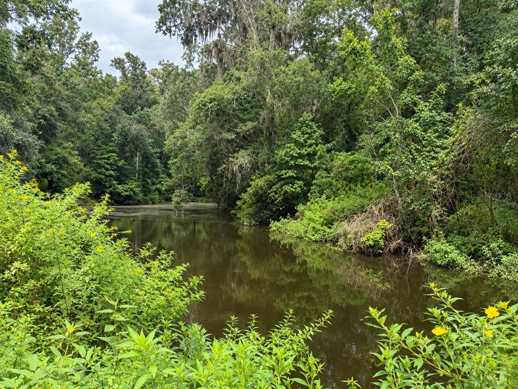 A calm pond surrounded by dense green trees and foliage under a cloudy sky — 26307 MOUNTAIN LAKE ROAD, BROOKSVILLE, FL
