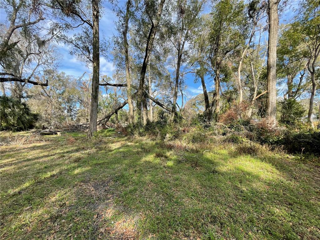 A grassy, wooded lot features several tall trees and scattered fallen branches under a blue sky — lot 1 NW 135TH TERRACE, ALACHUA, FL