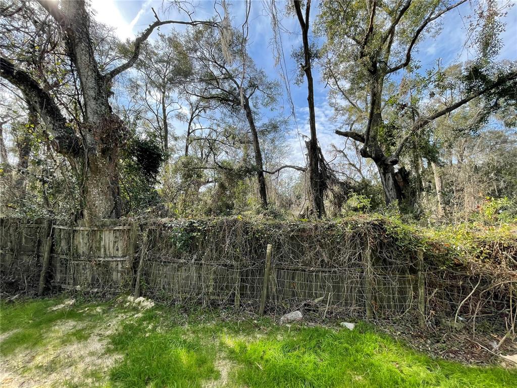 A wooden fence covered in vines stands in front of a wooded area with trees — lot 1 NW 135TH TERRACE, ALACHUA, FL