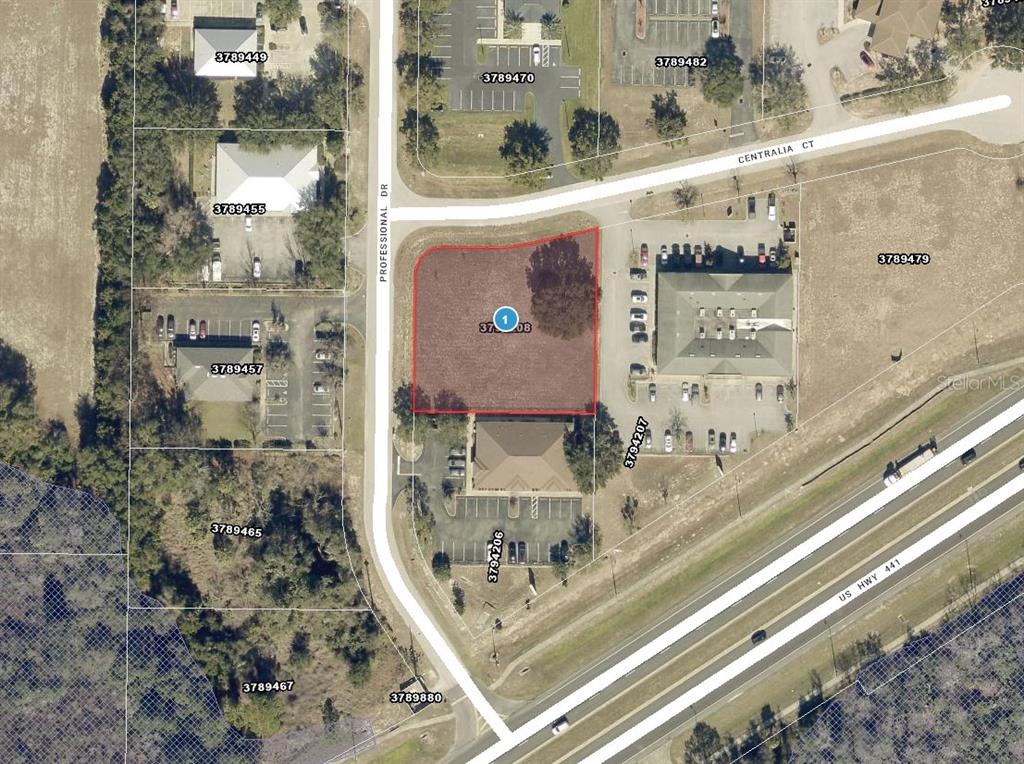 This is an aerial map view of a vacant commercial lot outlined in red — PROFESSIONAL DRIVE, LEESBURG, FL
