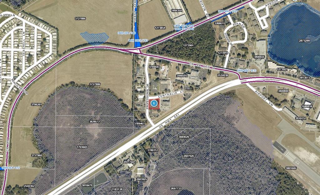 This is an aerial map showing a property highlighted with a blue circle near a highway — PROFESSIONAL DRIVE, LEESBURG, FL