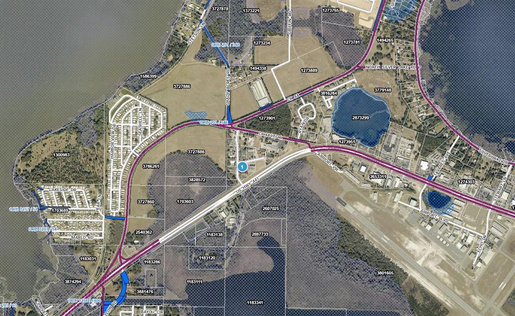 This is a map showing property parcels, roads, and water features in a rural area — PROFESSIONAL DRIVE, LEESBURG, FL