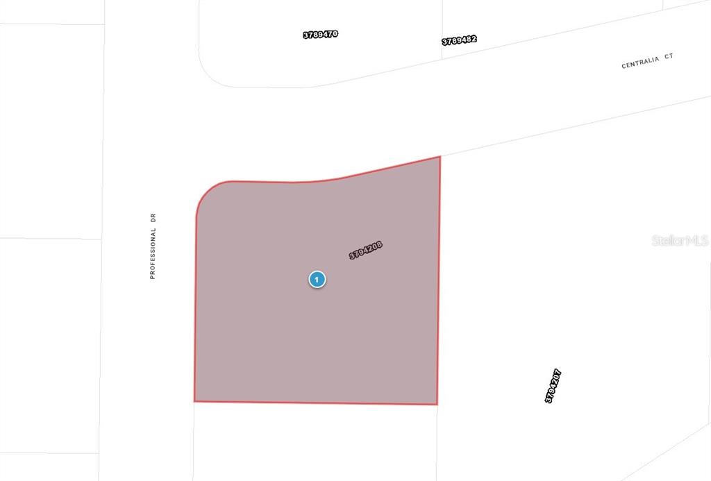 This is a map showing a highlighted land parcel located at a street intersection — PROFESSIONAL DRIVE, LEESBURG, FL