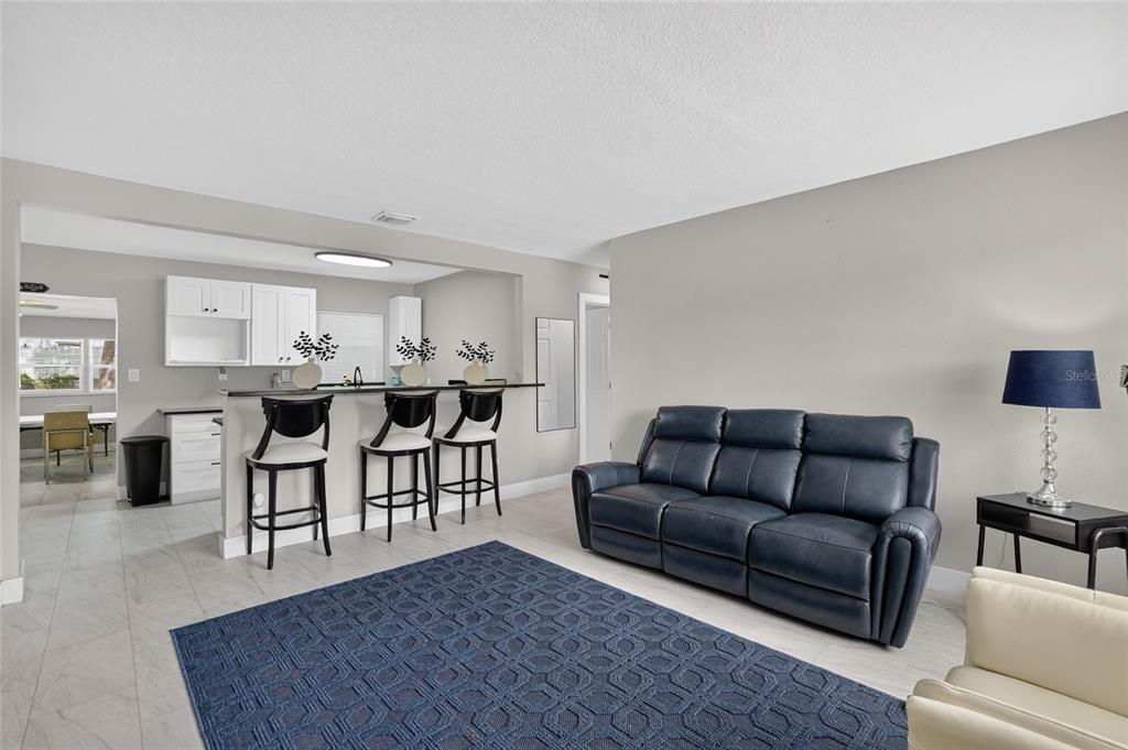 A living room with a blue sofa and rug opens to a kitchen with bar seating — 10420 N 22ND STREET, TAMPA, FL