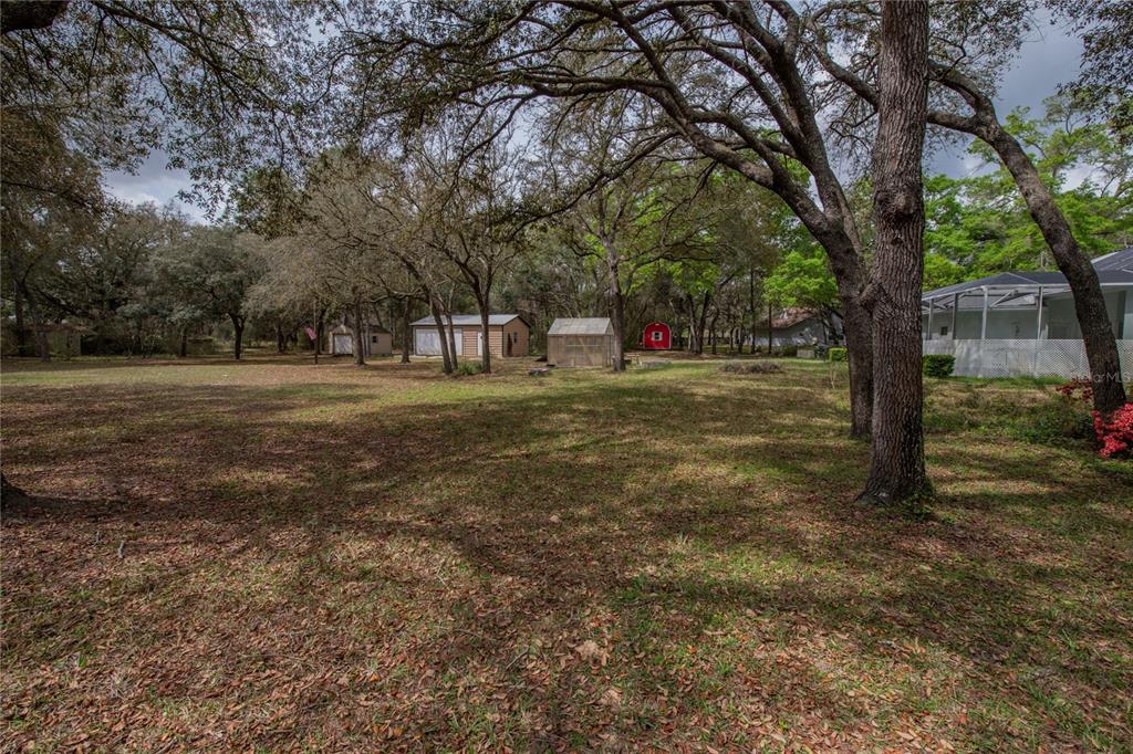 A large, grassy backyard features several storage sheds and mature trees under a cloudy sky — 1210 E ORIOLE COURT, HERNANDO, FL