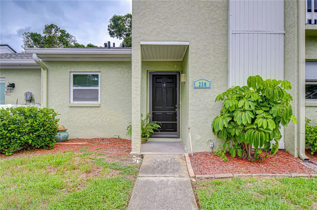 The exterior of a light green residential building features a black front door and walkway — 230 CYPRESS PLACE, OLDSMAR, FL