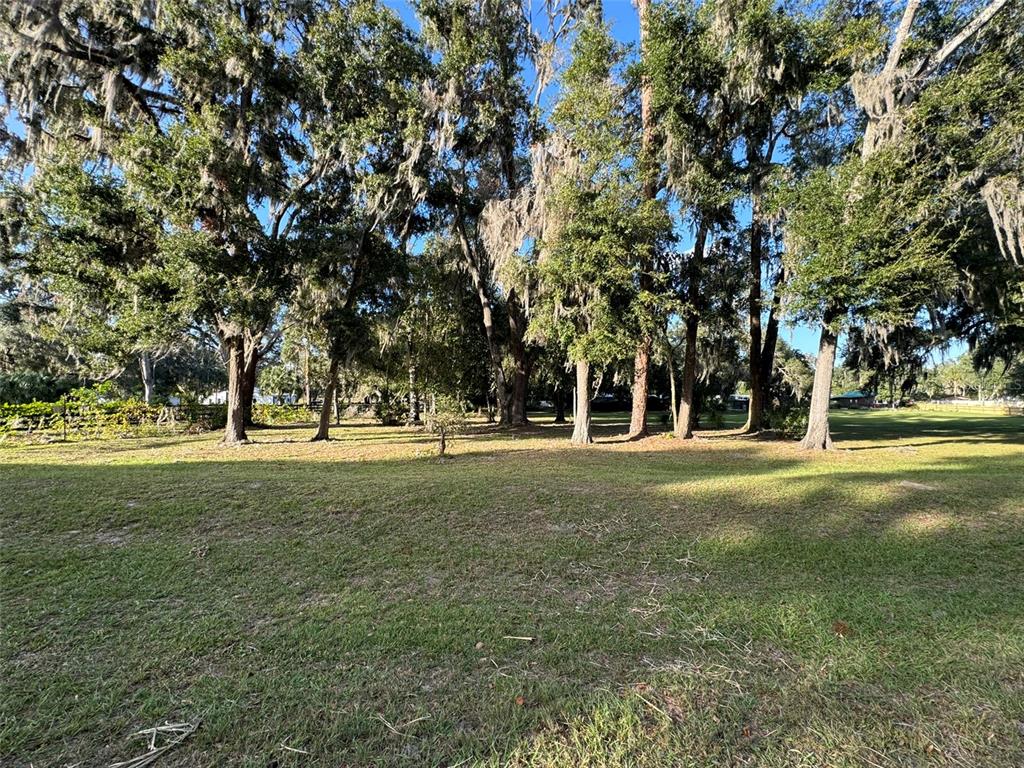 A grassy yard features several large, moss-draped oak trees under a clear blue sky — 0 W HIGHWAY 318, CITRA, FL