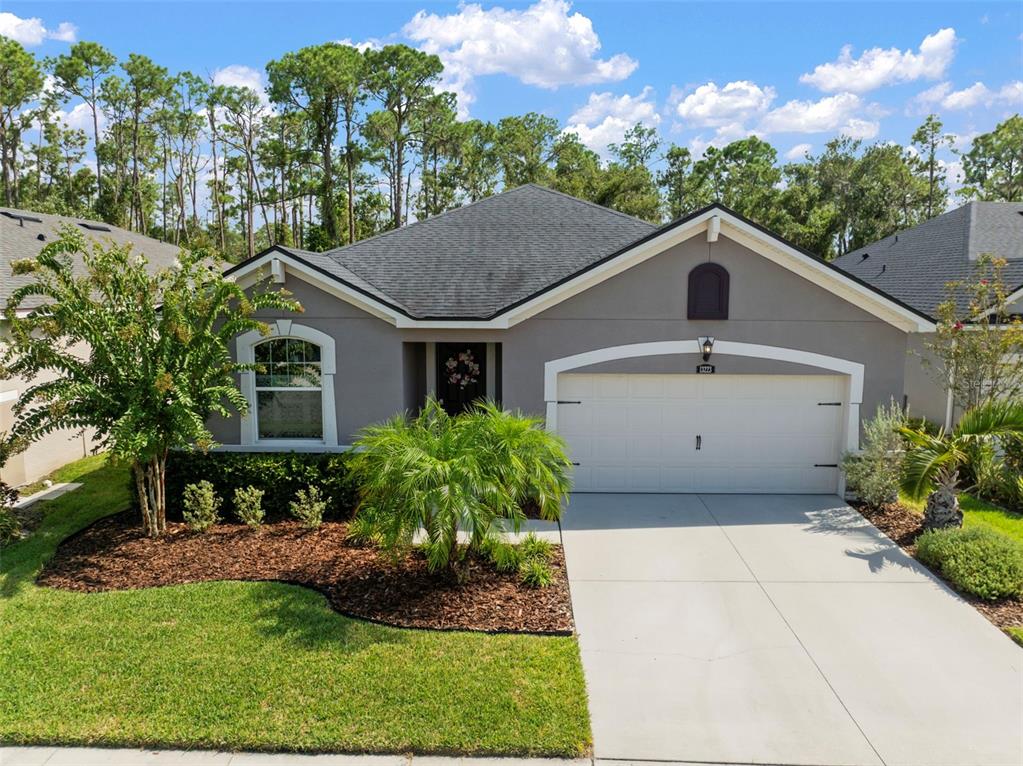 13223 BABY BELLE DRIVE