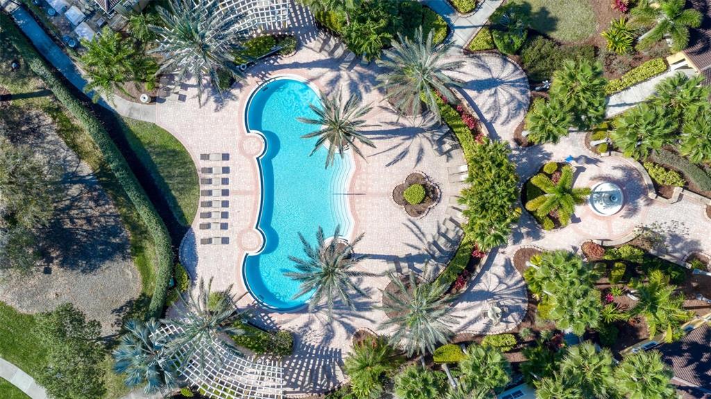 An aerial view shows a swimming pool surrounded by a paved deck, palm trees, and landscaping — 5681 BENTGRASS DRIVE UNIT 204, SARASOTA, FL