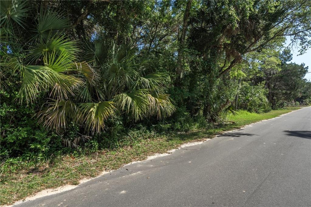 11681 W North PLACE, HOMOSASSA, FL — photo 2 of 15