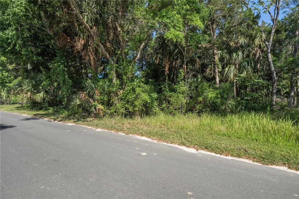 11681 W North PLACE, HOMOSASSA, FL — photo 3 of 15