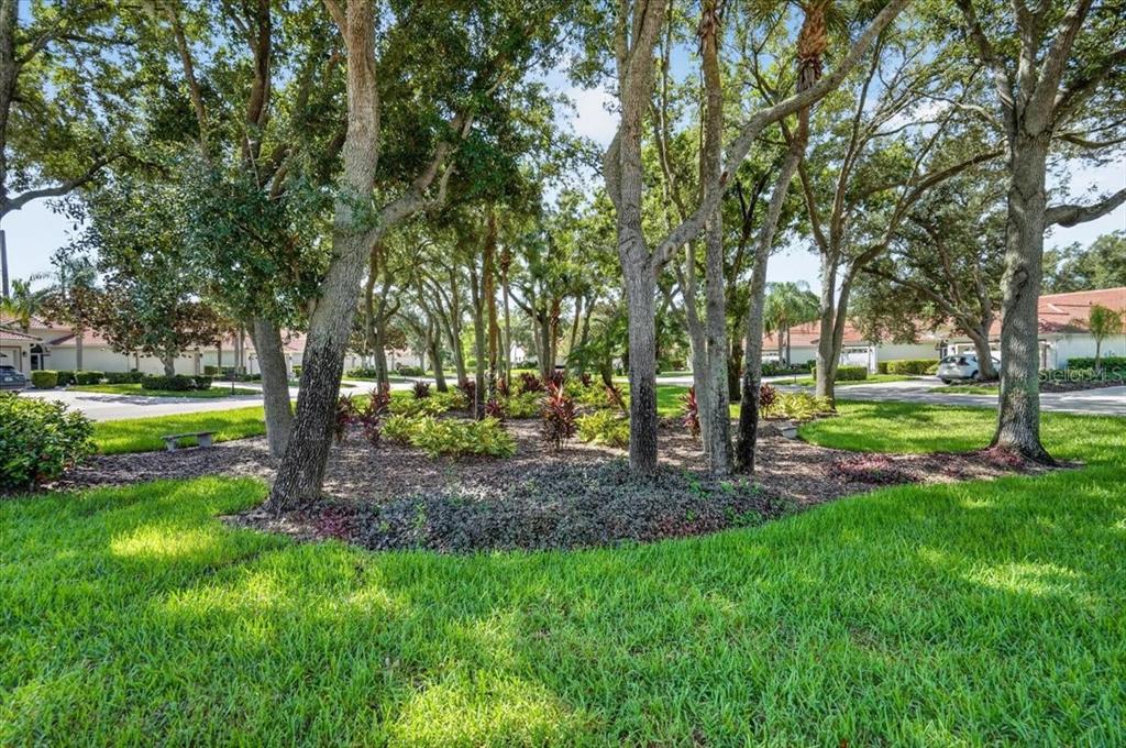 A landscaped garden area with trees and shrubs sits between residential buildings and paved roads — 7165 MELROSE PLACE, BRADENTON, FL