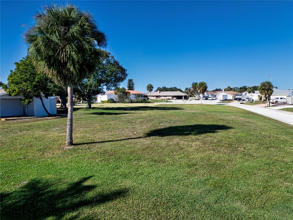 A grassy vacant lot features a palm tree and surrounding residential houses under a clear sky — SABLE COVE, RUSKIN, FL