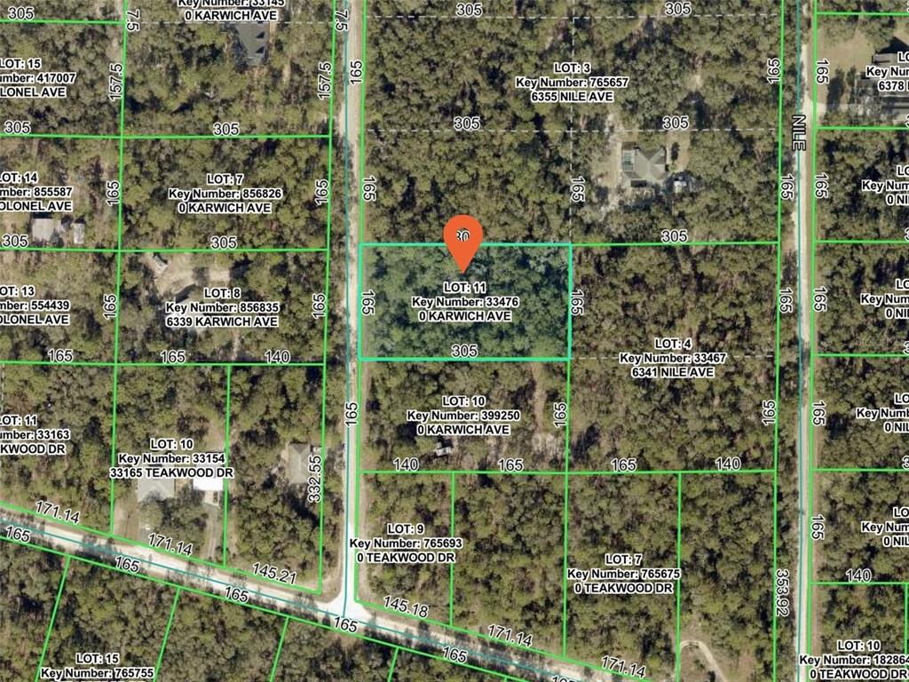 This is a satellite map showing property lot lines and parcel information for a wooded area — 6342 KARWICH AVENUE, WEBSTER, FL