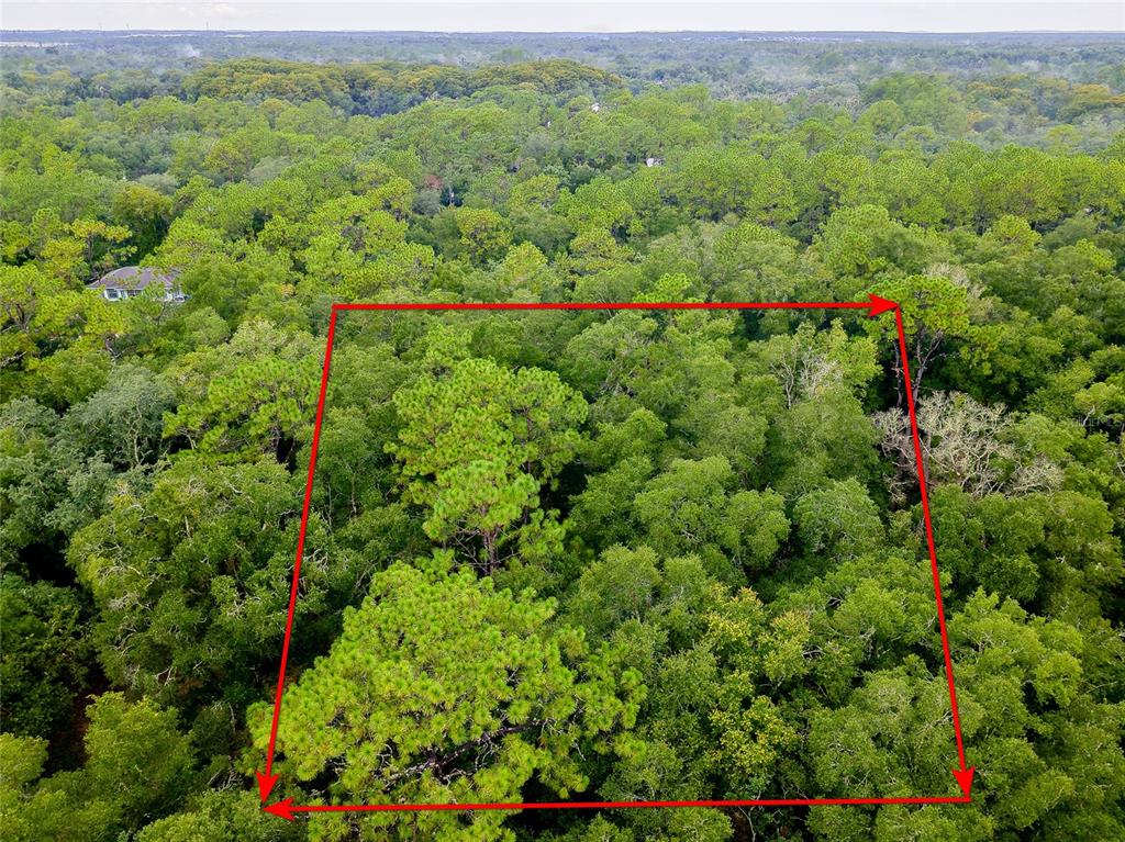 An aerial view shows a rectangular plot of land outlined in red amidst dense forest — 6342 KARWICH AVENUE, WEBSTER, FL