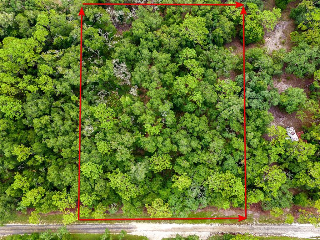 An aerial view shows a rectangular plot of wooded land bordering a dirt road — 6342 KARWICH AVENUE, WEBSTER, FL