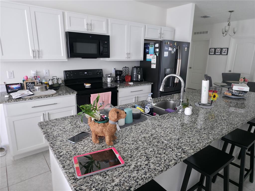 4304 DESERT ROSE AVENUE, KISSIMMEE, FL — photo 5 of 16