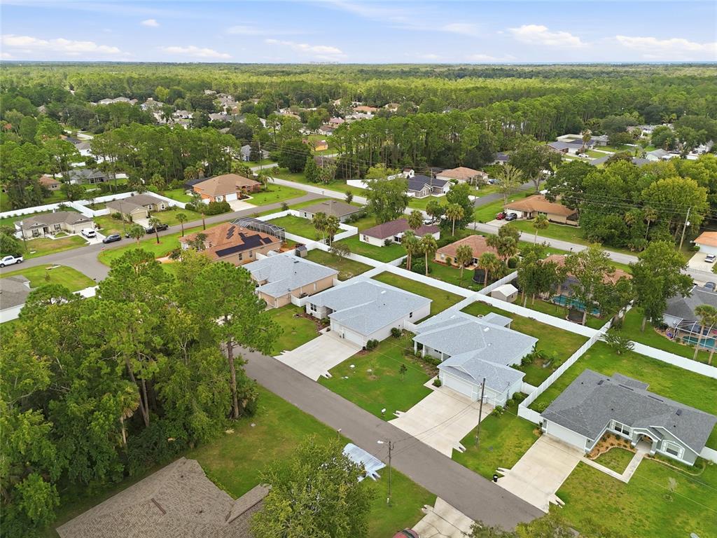 An aerial view shows a suburban neighborhood with single-family homes, paved streets, and surrounding trees — 5 PINE BUSH LANE, PALM COAST, FL