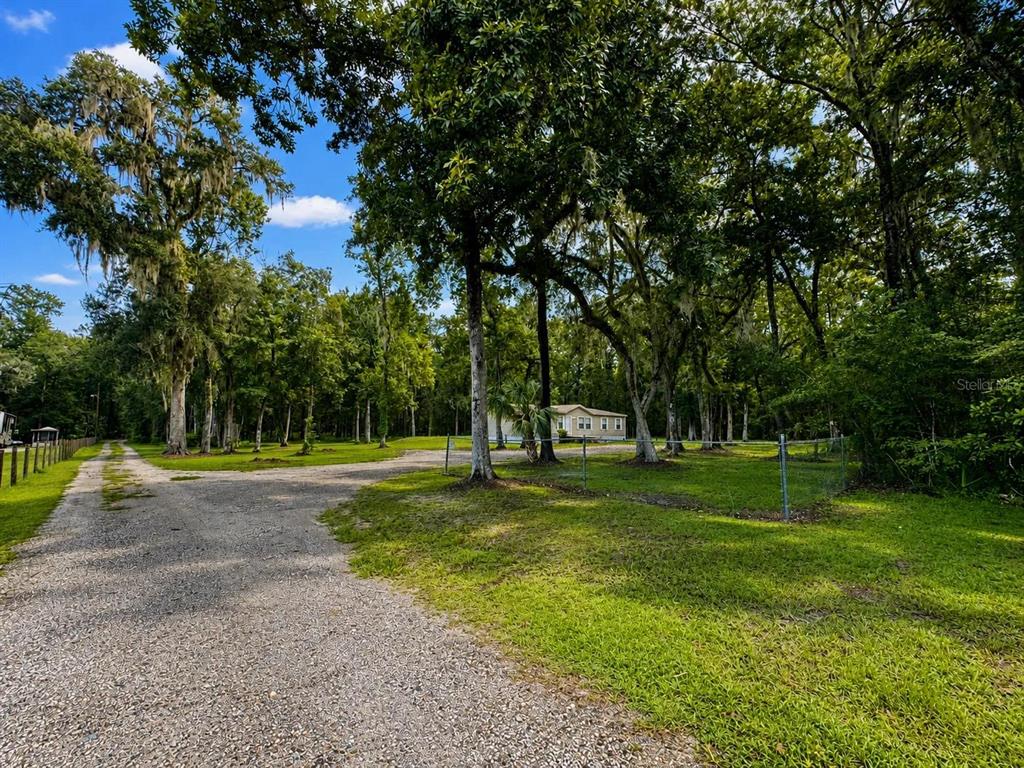 A gravel driveway leads to a house set back among many large, moss-draped trees — 13539 CITRUS WAY, BROOKSVILLE, FL